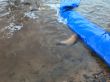IMG-20171113-WA0055.jpg