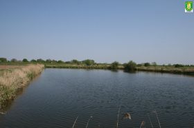 Teich Offenwarden (1).JPG