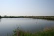 Teich Offenwarden (1) (1).JPG