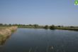 Teich Offenwarden (1).JPG