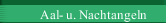 Aal- u. Nachtangeln 