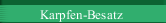 Karpfen-Besatz