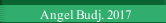 Angel Budj. 2017